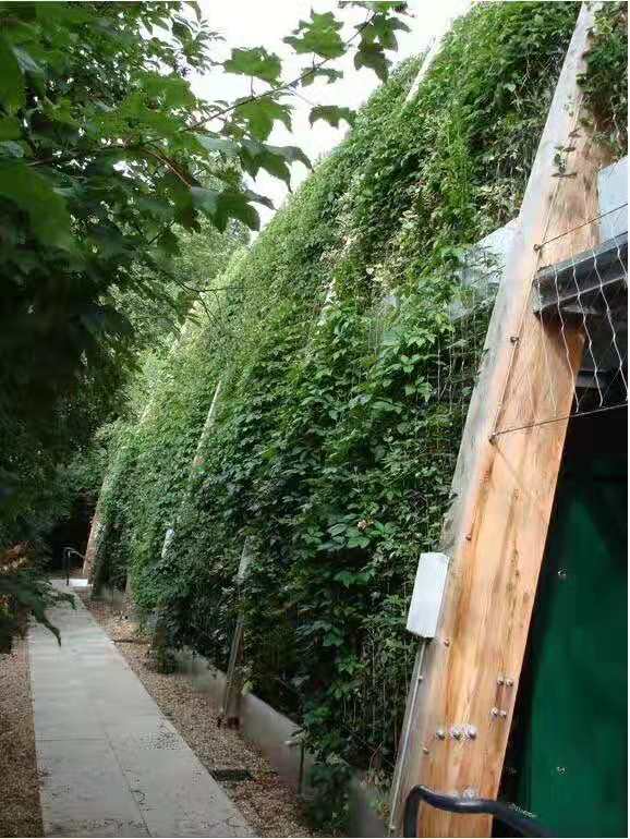 植物攀爬繩網用不銹鋼的優(yōu)勢